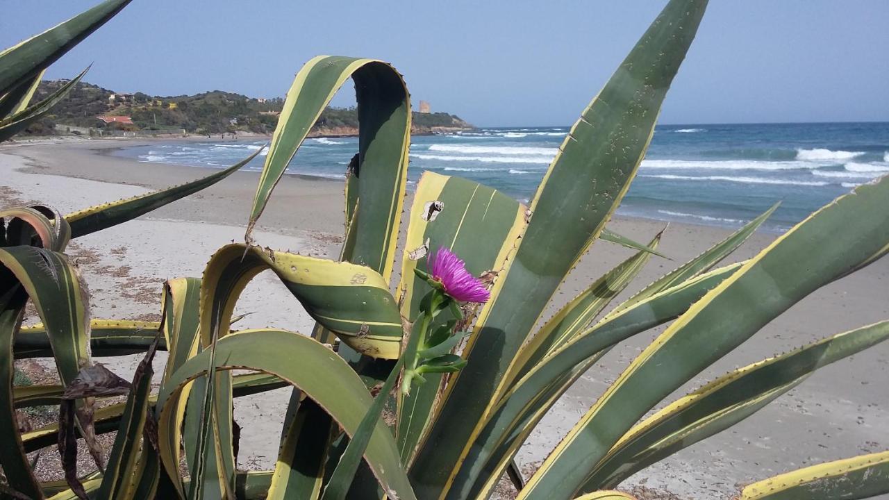La Casetta Rosa Tertenìa Exterior foto